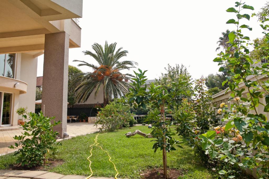 Residence Bella Budva Exterior foto